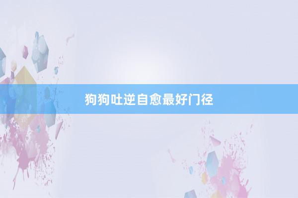 狗狗吐逆自愈最好门径